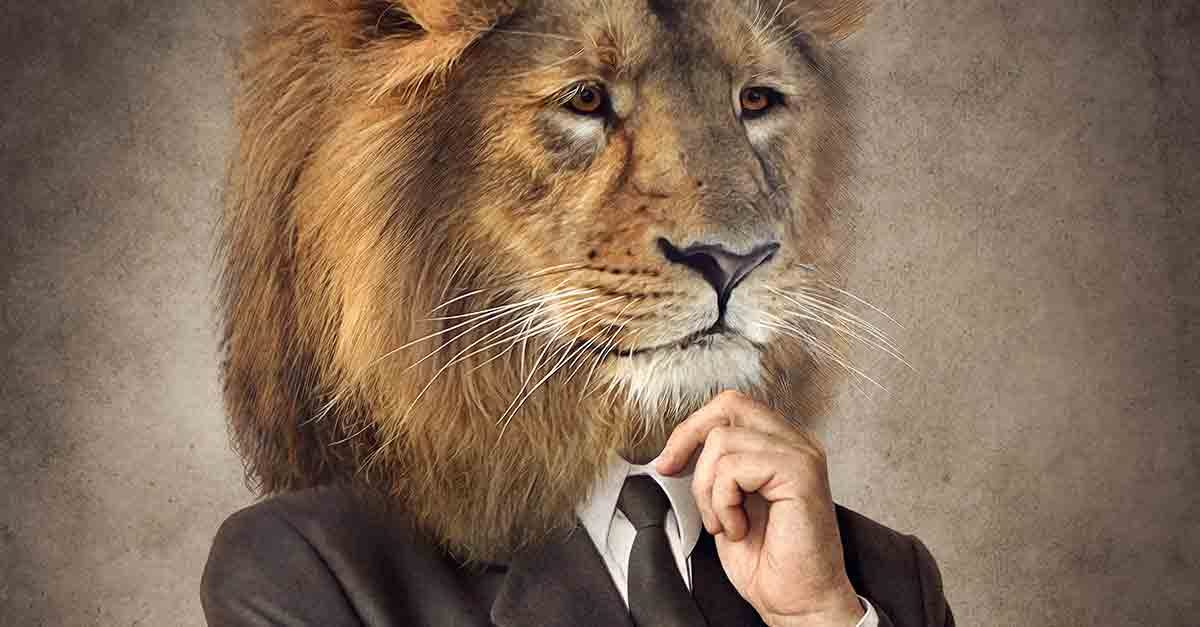 Como declarar empréstimo consignado no Imposto de Renda?