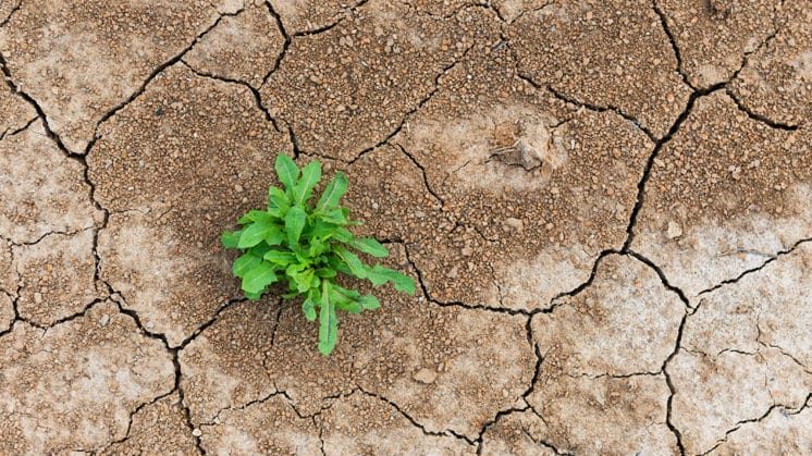 Resilientes no Trabalho: 03 características de pessoas assim