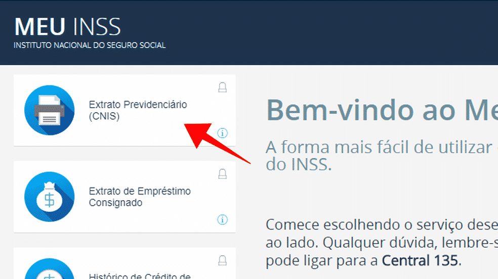 MEU INSS: saiba consultar extrato de contribuições pelo CPF
