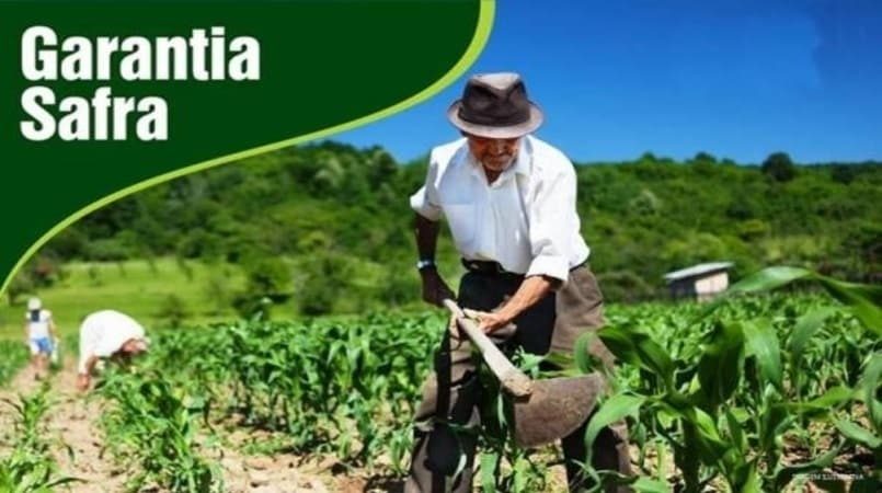 Garantia-safra: O que é? Entenda de uma vez
