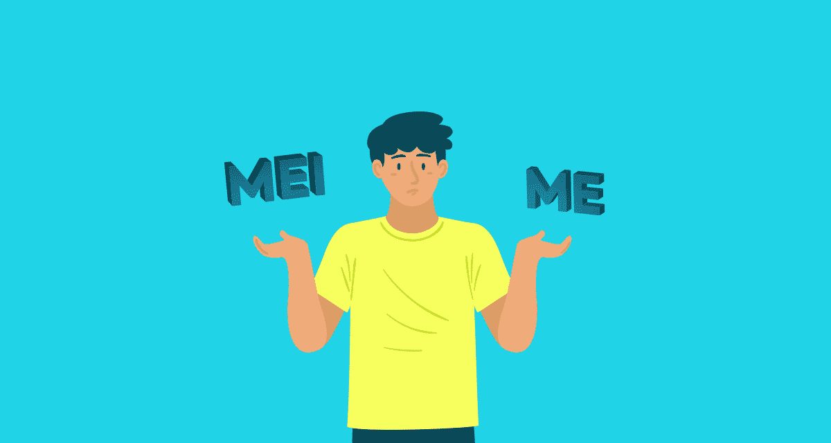 Quais as principais diferenças entre MEI e ME?