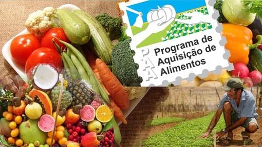 Programa de Aquisição de Alimentos (PAA): o que é e como funciona?