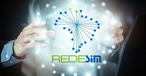 RedeSim: o que é e como usar o programa?