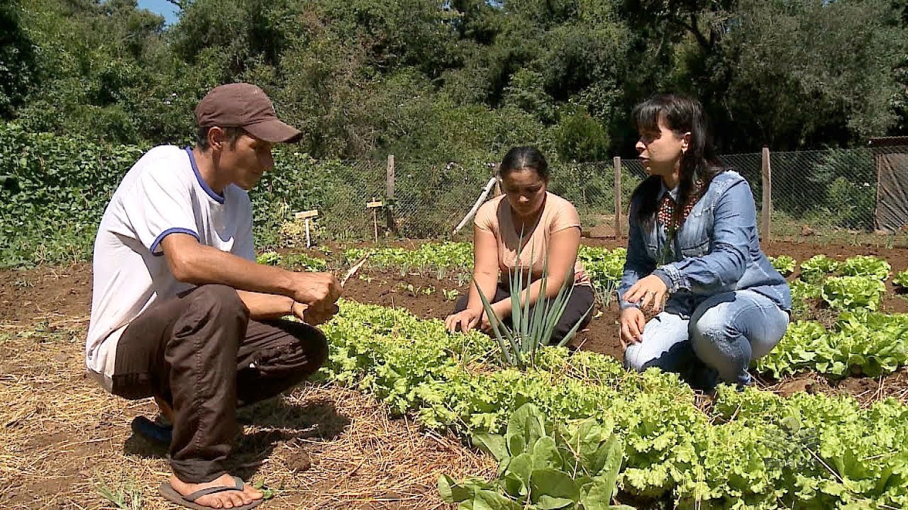 Programa Fomento Rural: o que é e como funciona?