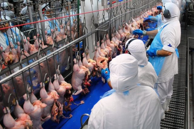 Seara Alimentos tem vagas de emprego internacionais para quem fala inglês fluente