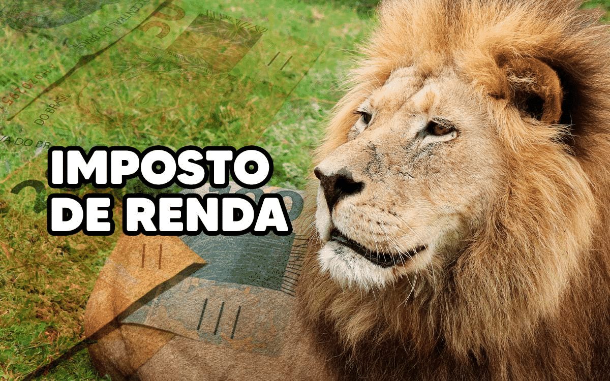 Imposto de Renda: dicas para declarar em 2022