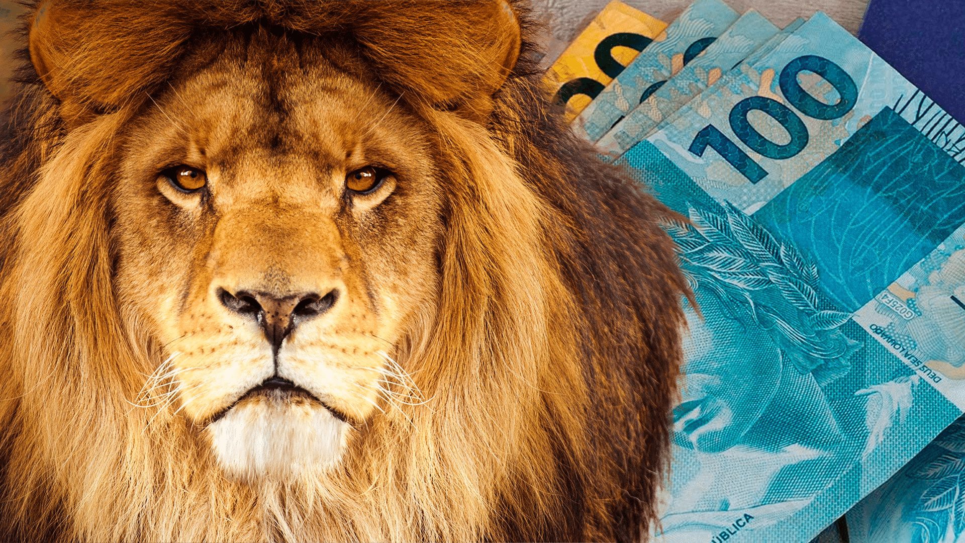 Como ficam as doações na declaração do Imposto de Renda?