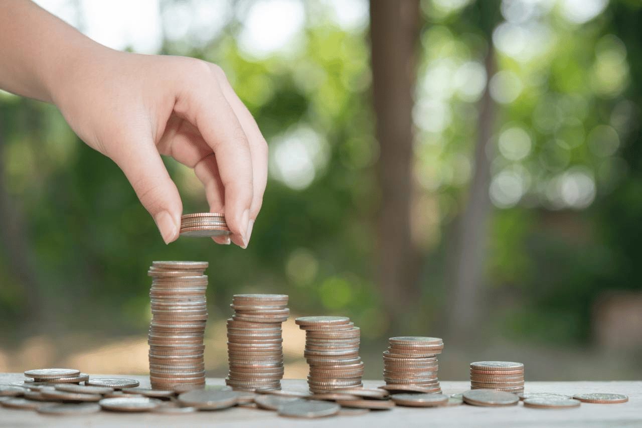 Lucro presumido: o que é, quem pode optar e quais as alíquotas?