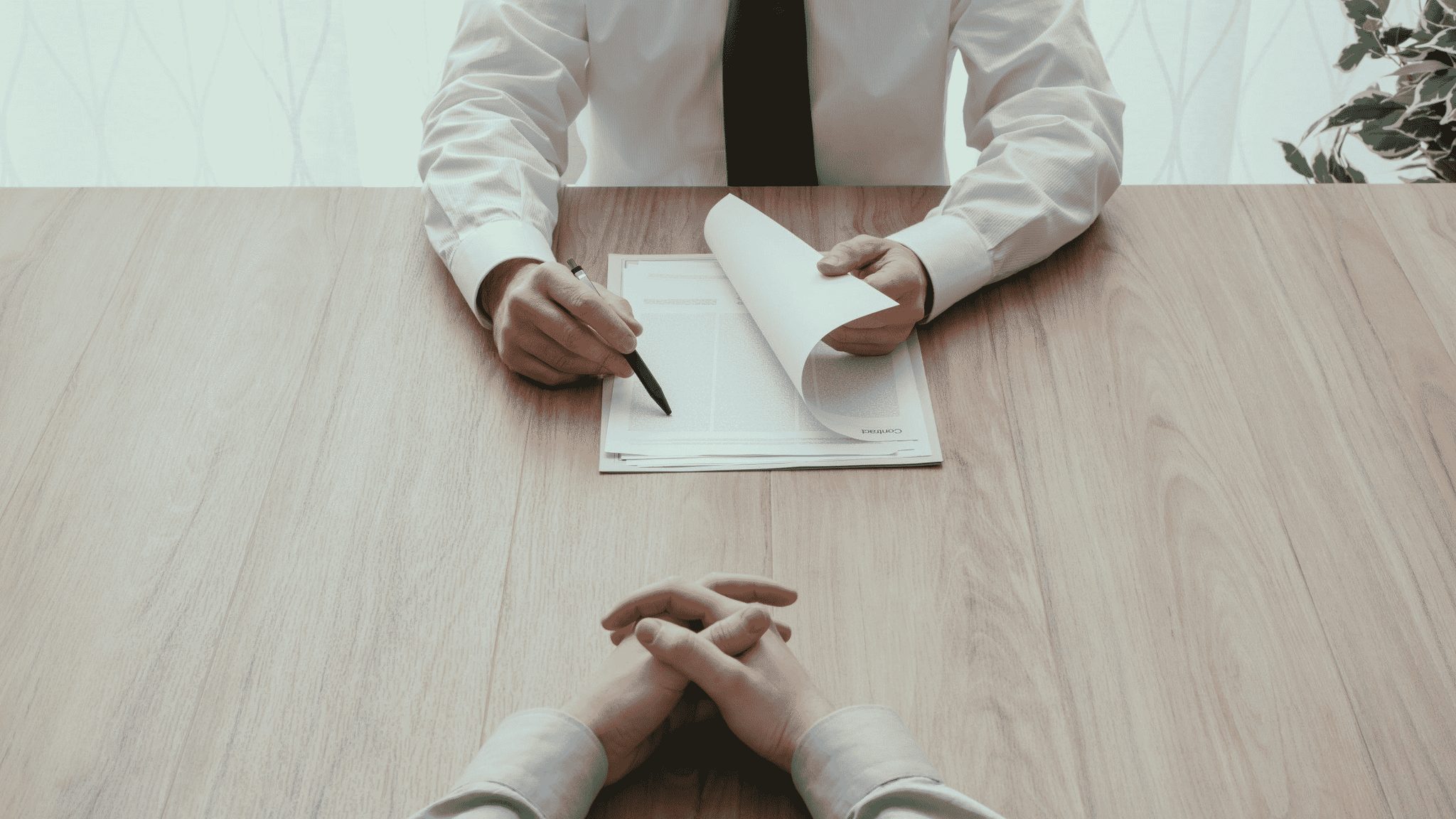 Além da carteira assinada: conheça os tipos de contrato de trabalho