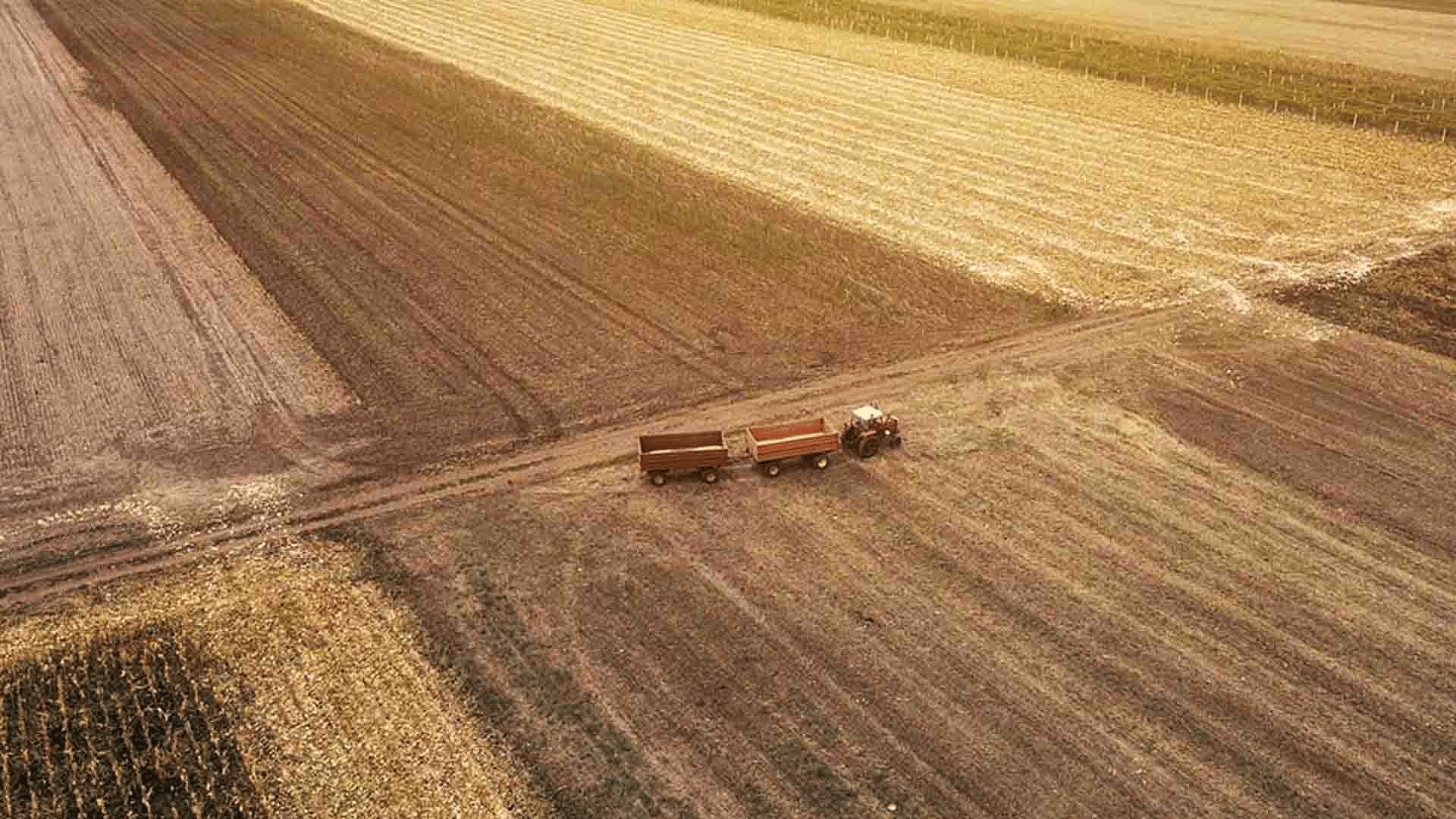 Declaração de Imposto rural precisa ser entregue até dia 30 de setembro