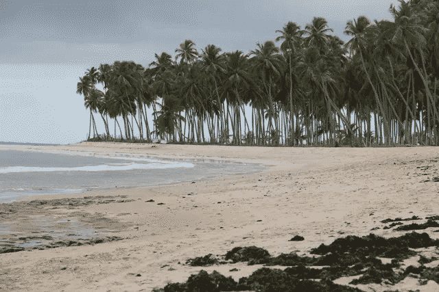 Conheça todos os feriados prolongados de 2023