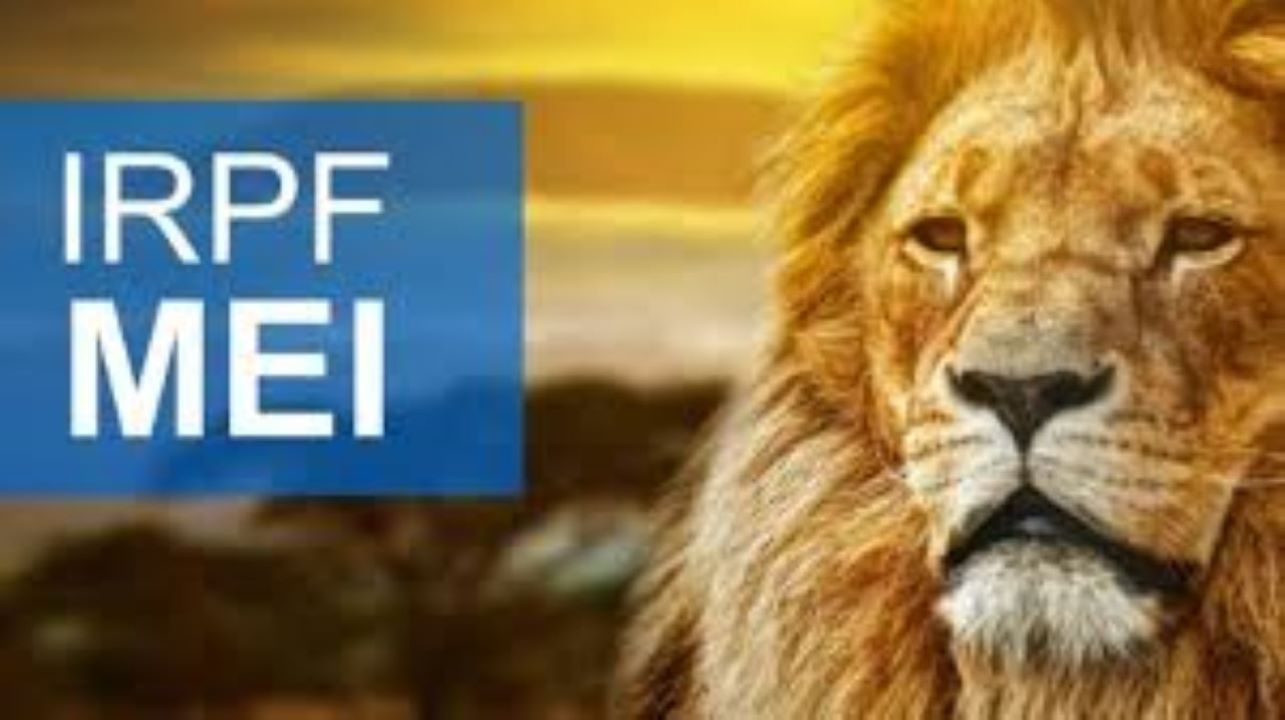 MEI precisa declarar Imposto de Renda? Confira!