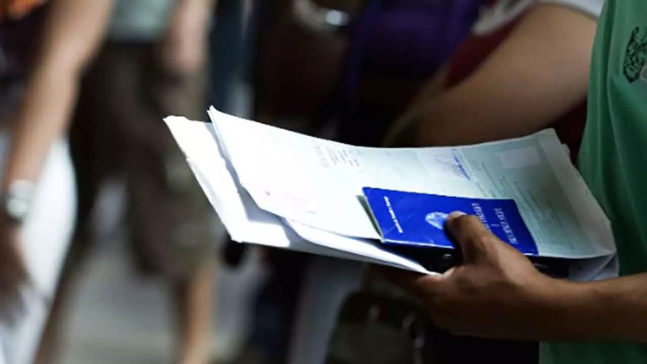 Perdeu o emprego? Veja como o seguro-desemprego pode te ajudar