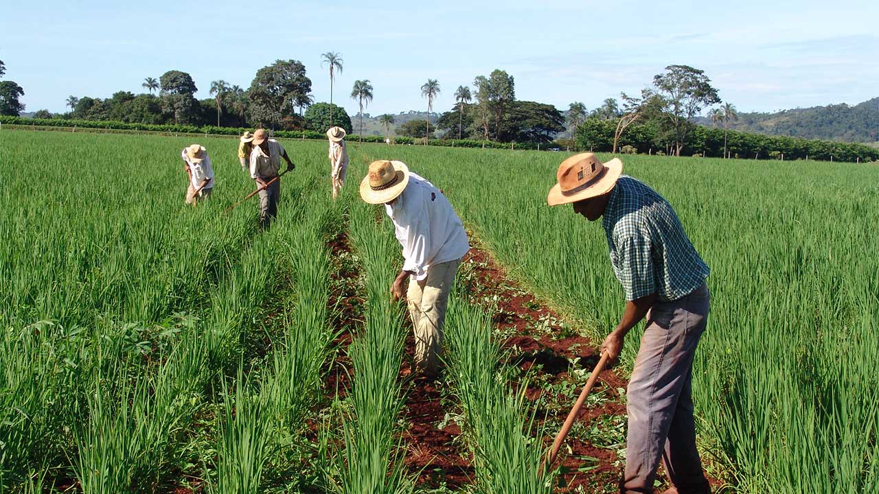 Cadúnico: novo programa promete levar energia solar para agricultores