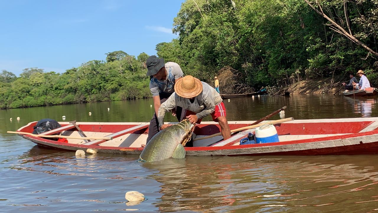 Pescador tem até 31 de dezembro para comprovação