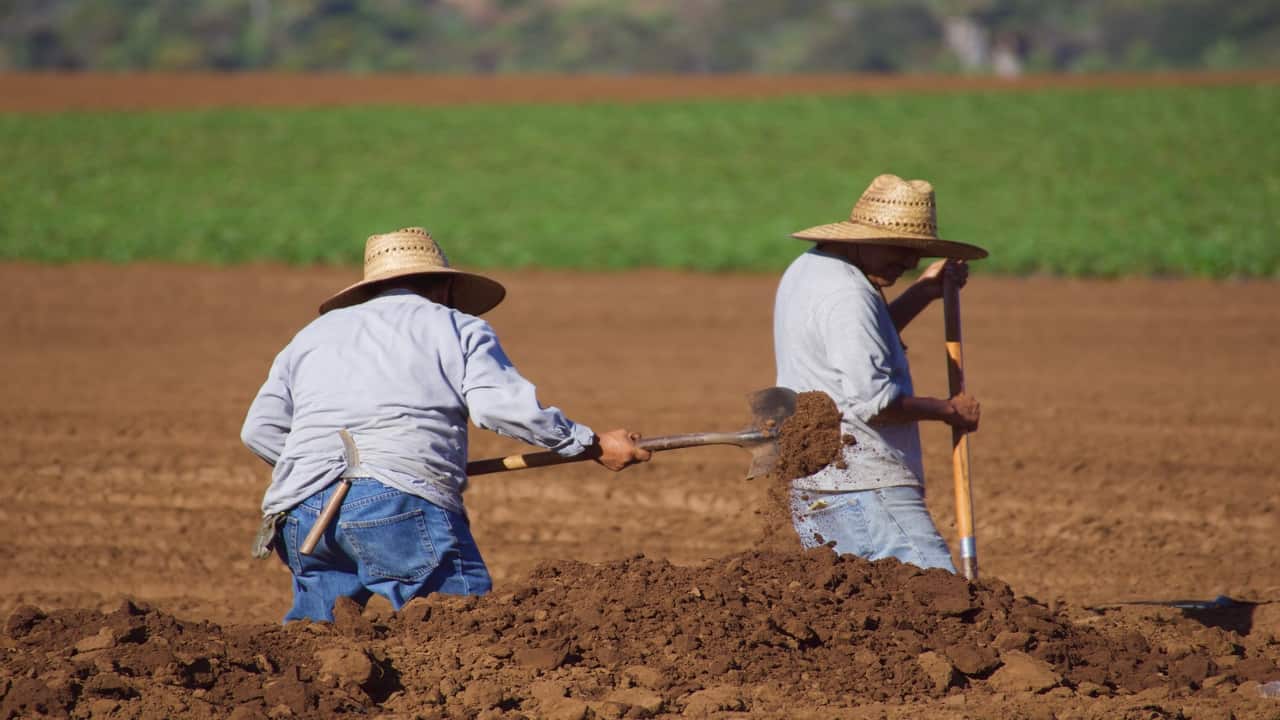 INSS promete facilitar aposentadoria para trabalhadores rurais